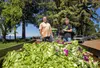 Rick Goldberg and Chris Glab, founders of wildbrine.