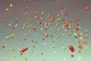 Photo courtesy Vanessa Powell Balloons dot the sky after being
released recently by Snowshoe Elementary School students.