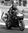 The Valley offers a wide variety of motor sports racing, with
area tracks offering scheduled events every weekend throughout the
summer and other types of racing occurring sporadically throug