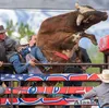 Jate Frost starts his run in the chute at the Xtreme Bull Riding event at the Alaska Rodeo May 25, 2024, at the Alaska State Fair grounds. For more on Alaska Rodeo, see Page 11. J. David McCh