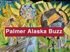 Palmer Buzz