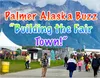 Palmer Buzz