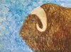 'Musk Ox' watercolor on yupo by Suzanne Bach.