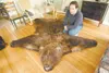 ROBERT DeBERRY/Frontiersman Palmer taxidermist Dan Williams with
the bear rug that won him first place in a national
competition.