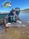 The first Mat-Su Valley king salmon of the year caught by Guide Ryan Judd of Miller's Riverboat Service in May. Courtesy photo