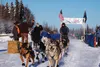 Musher Will Rhodes follows his team down the trail at the start of the 2014 Knik 200 Joe Redington Sr. Memorial Sled Dog Race. Rhodes is among 35 mushers set to compete in the 2016 race, whic