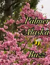 Palmer Buzz