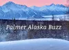 Palmer Buzz