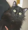 Needs a home