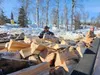 The Alaska Warrior Partnership (AKWP) is offering services through their Mat-Su Winter Preparedness Project for veterans this year. Courtesy photo