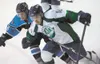 The Alaska Avalanche junior hockey team has been officially sold to the Johnstown Sports Partnership LLC and the team will move to Johnstown, Pa. Forward Gage Christianson, pictured here, is 