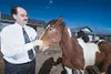 Animal Care and Regulation Chief Officer Dave Allison gives B.C.
a friendly pat. The horse's previous owner said the three-year-old
paint colt is friendly and has some halter training. WILLIA