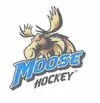 Palmer Moose hockey