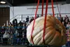 Alaska State Fairgoers watch Dale Marshall's pumpkin, the only entrant in the 10th annual Midnight Sun Pumpkin Weigh-Off, get hoisted to the scale for measurement. The pumpkin was disqualifie