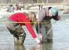 RUSSELL STIGALL/Frontiersman Teeland Middle School student Jilly
Burton takes a depth measurement with the help of Joe Nolting,
Teeland’s teacher of gifted and talented students. Students use