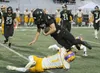 Colony senior Hayden Leavitt is taken off his feet during a run in Colony's 42-0 win over Lathrop Friday, Sept. 22, 2017, at Colony High School. Jeremiah Bartz/Frontiersman