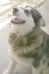What a charmer