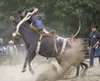 (ROBERT DeBERRY/Frontiersman) Robert DeBerry