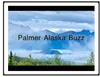 Palmer Buzz