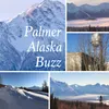 Palmer Buzz
