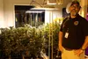 Matanuska Cannabis Company co-owner Chad Ragsdale poses next to his plant prior to the store's grand opening July 7, 2018. Ragsdale's business is the first pot shop in the Butte. Tim Rockey/F