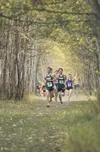 Colony's Abe Meyerhofer and Brandon Schafer lead the pack on the
first lap of Saturday's 5K race at the Region III Cross Country
Championships at Palmer High School. (ROBERT
DeBERRY/Frontiers