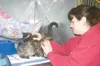 GREG JOHNSON/Frontiersman Robin Daniels plays with a pair of
kittens at the borough animal shelter.
