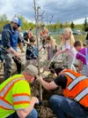 Students, parents, and Wasilla Parks and Recreation help plant a tree for Arbor Day 2022 at Iditapark in Wasilla Katie Stavick/Frontiersman