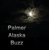Palmer Buzz