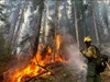 Kyle Roberts is part of the Gannett Glacier Fire Crew. Courtesy photo