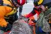 Photo by Patty Sullivan, Mat-Su BoroughThe Water Rescue Team and Animal Care chief for the Matanuska-Susitna Borough rescued a reindeer off ice of the partly-frozen Matanuska River north of P