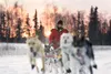 Valley musher and Iditarod Trail Sled Dog Race veteran Ryan
Redington gives commands to his team as he moves down the trail
along Knik-Goose Bay Road during a training run Monday. (ROBERT
DeB