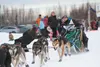 A fan reaches to to bump fists with Kevin Harper during the 2014 Junior Iditarod. Harper, the defending race champion, is one of 11 mushers in the field. The race start and finish is also bac