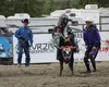 A Rodeo Alaska junior rider hangs on at Alaska State Fairgrounds in Palmer over Memorial Day weekend. Jacob Mann/Frontiersman