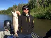 Carl Fox shows off the ocean-bright chum salmon he caught from Little Susitna River on Tuesday. Andy Couch/For the Frontiersman