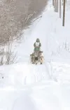 ROBERT DeBERRY/Frontiersman Big Lake musher Cim Smyth mushes
along the trail next to Knik-Goose Bay Road at the start of the
Klondike 300 Sled Dog Race Saturday morning. Smyth won the 300 mil