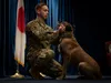 Staff Sgt. Cody Nickell, 374th Security Forces Squadron military working dog handler, shares a moment with his teammate Topa during Topa’s retirement ceremony at Yokota Air Base, Japan, Oct. 