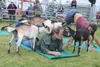 The 2022 Goat Yoga participants enjoy the company of baby goats at the Alaska State Fair. Jacob Mann/Frontiersman
