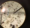 A tiny blue plastic fiber that fell within a raindrop in the Thane area of Juneau, Alaska. The view is of filter paper that captured the plastic fiber, as viewed through a microscope. Photo c
