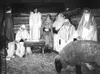 Members of Willow United Methodist Church perform a living
Nativity last Sunday. Photo courtesy of SUMMER PEARL HORTON.
