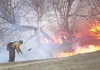 A firefighter with the Division of Forestry works a hot spot as flames tear through the woods near Fishhook Golf Course. ROBERT DeBERRY/Frontiersman.com