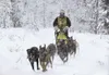 RYAN BROOKS/For the Frontiesman Christian Taveau follows his
team down the trail en route to a win in the eight-dog class during
Montana Creek Dog Mushers Association action last week. Photog
