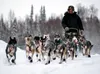 Girdwood musher Nicolas Petit races his sled to victory in the Willow 300 over the weekend.