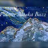 Palmer Buzz