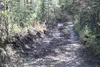 Users of the Matanuska Greenbelt trails are concerned about recent damage. Tim Rockey/Frontiersman