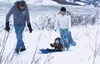 Sledding Frontiersman file photo