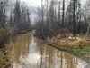 A trail just off the parking area of the Wendt Road access to the Matanuska Moose Range has been used for illegal dumping while showing significant ATV wear. Amy Bushatz/For the Frontiersman