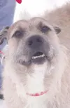 Hi there!