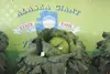 From giant vegetables to big-name musical acts, the 2017 Alaska State Fair has something for everyone. Frontiersman file photo