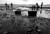 The beaches of Homer are prime clamming spots -- a place to have
a clamn good time, too.WILLIAM WOODY/Frontiersman